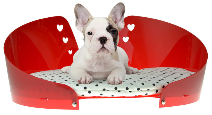 luxury-dog-bed-ddpluspet